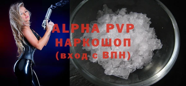 прущий лед Вяземский