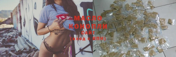 прущий лед Вяземский
