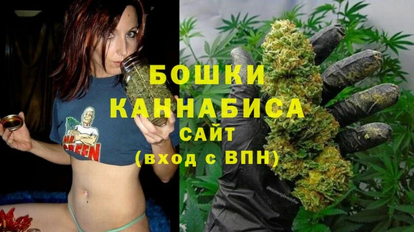 дурь Вязьма