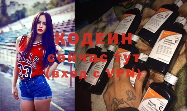 прущий лед Вяземский
