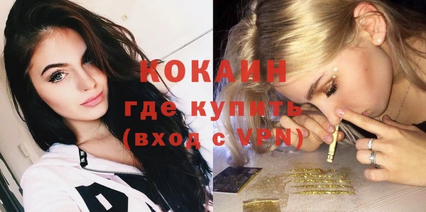 прущий лед Вяземский