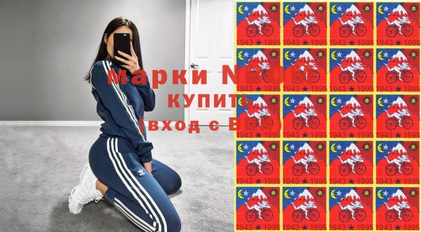 прущий лед Вяземский