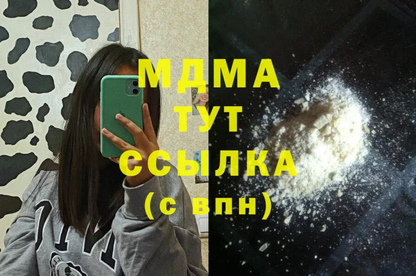 прущий лед Вяземский