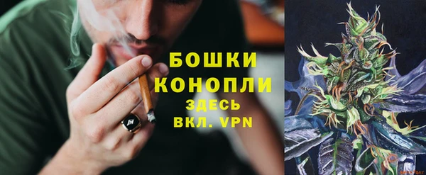 дурь Вязьма